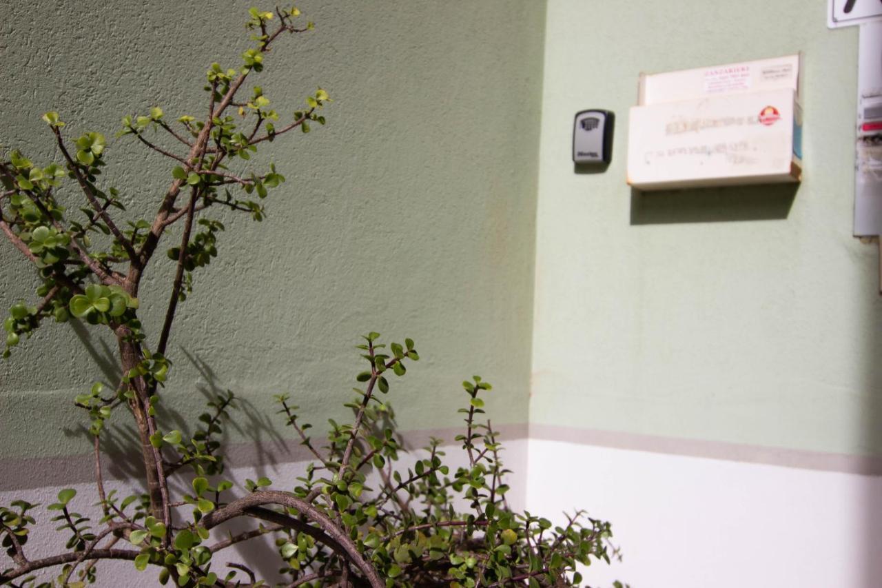 1Km Dalla Torre Appart. Con Balcone E Posto Auto Pisa Eksteriør bilde
